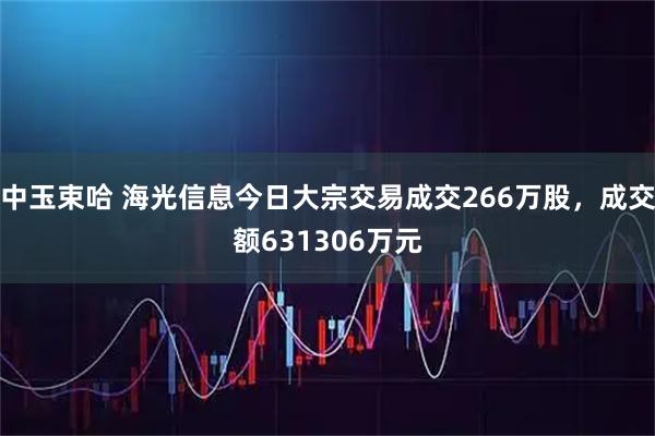 中玉束哈 海光信息今日大宗交易成交266万股，成交额631306万元