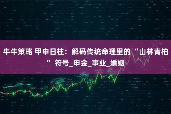 牛牛策略 甲申日柱：解码传统命理里的 “山林青柏” 符号_申金_事业_婚姻