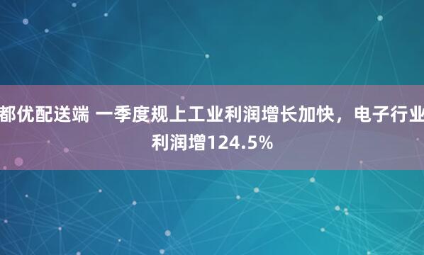 都优配送端 一季度规上工业利润增长加快，电子行业利润增124.5%