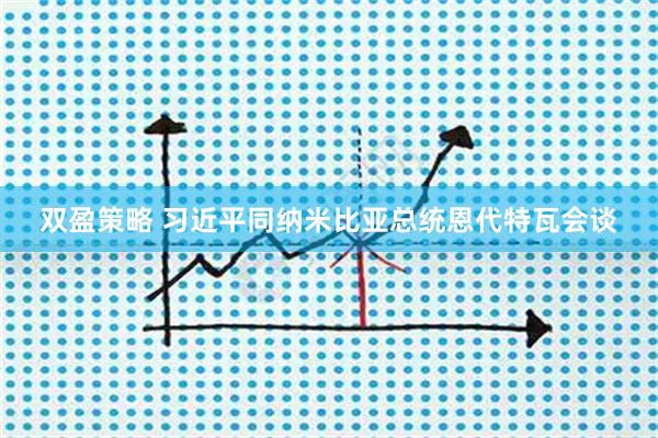 双盈策略 习近平同纳米比亚总统恩代特瓦会谈